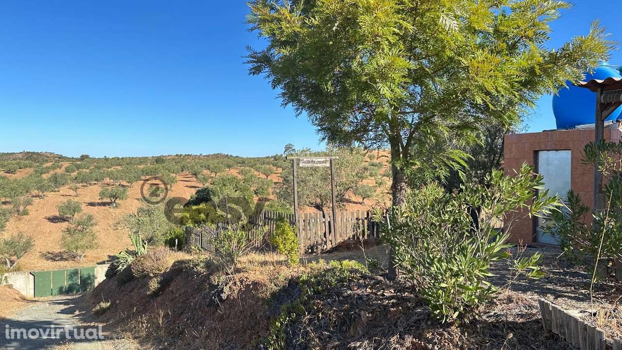 TERRENO RÚSTICO 3.500 m2 COM CASAS DE MADEIRA - ALQUEVA - Grande imagem: 3/30