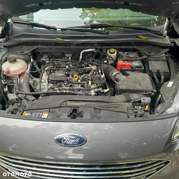 Ford Escape ver-1-5-ecoboost-awd-se - 20