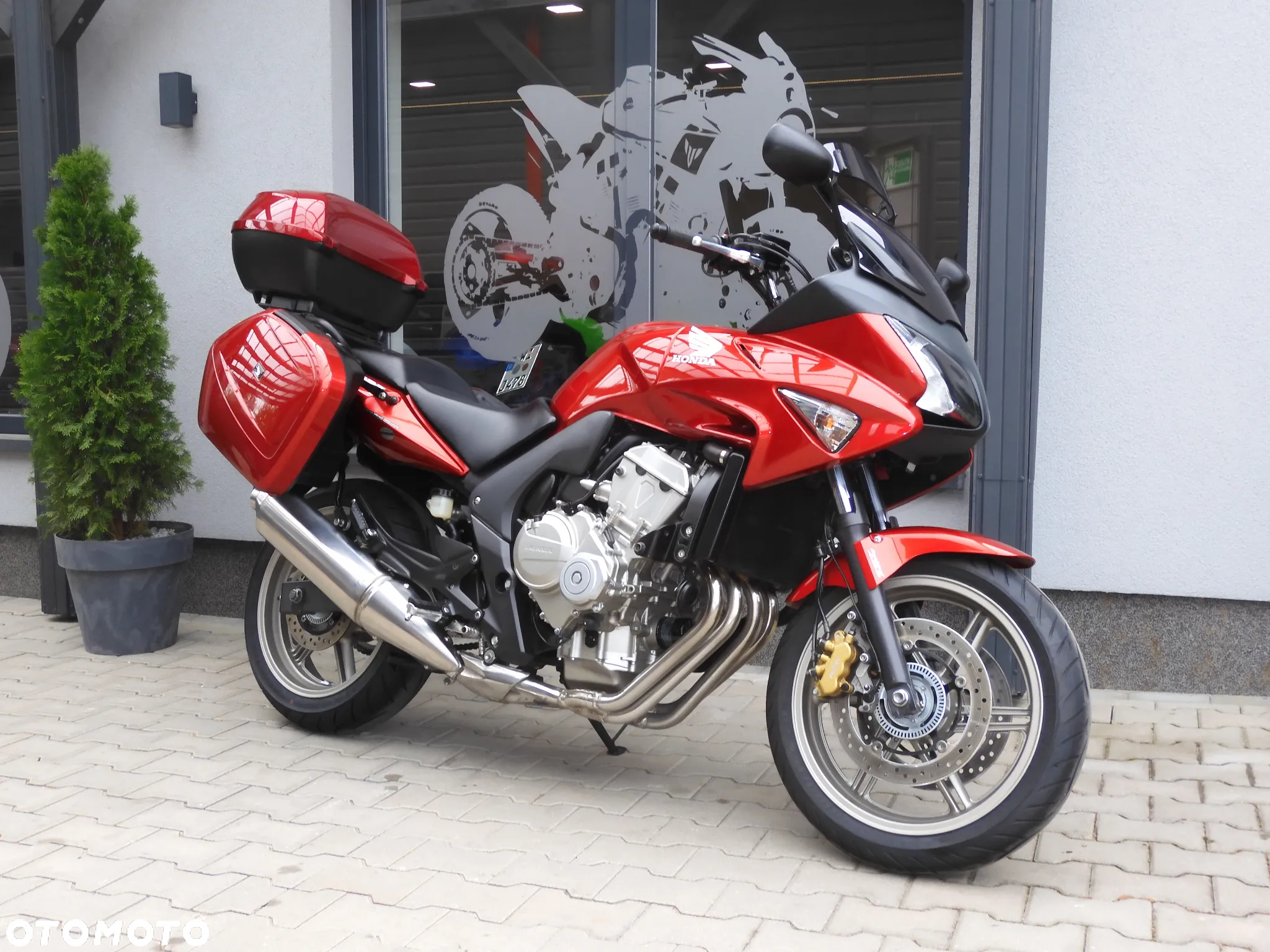 Honda CBF - 19