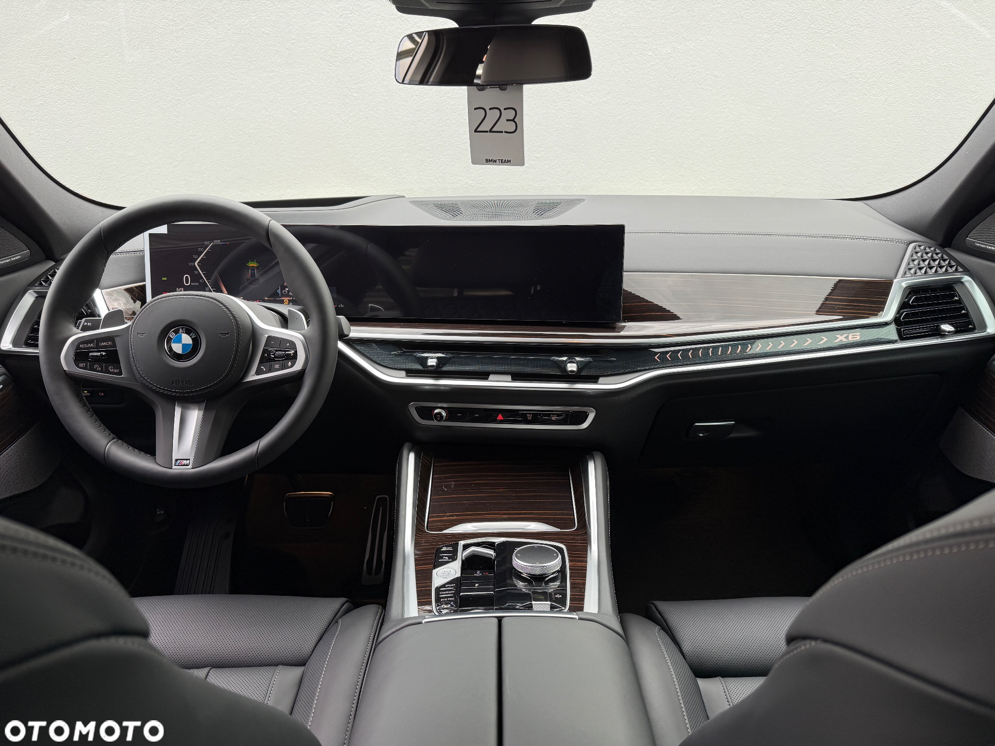 BMW X6 - 18