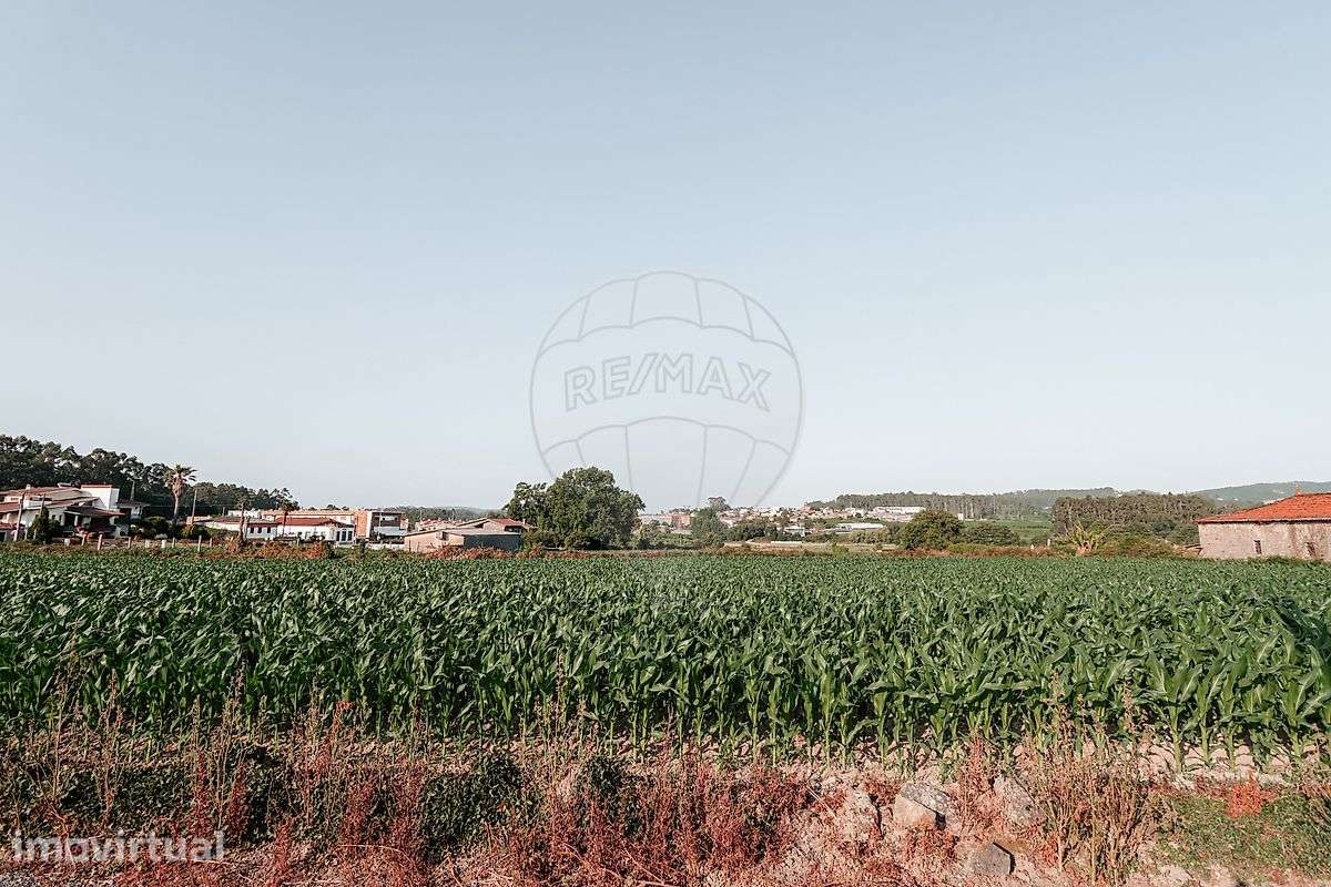 Terreno  para venda - Grande imagem: 4/8