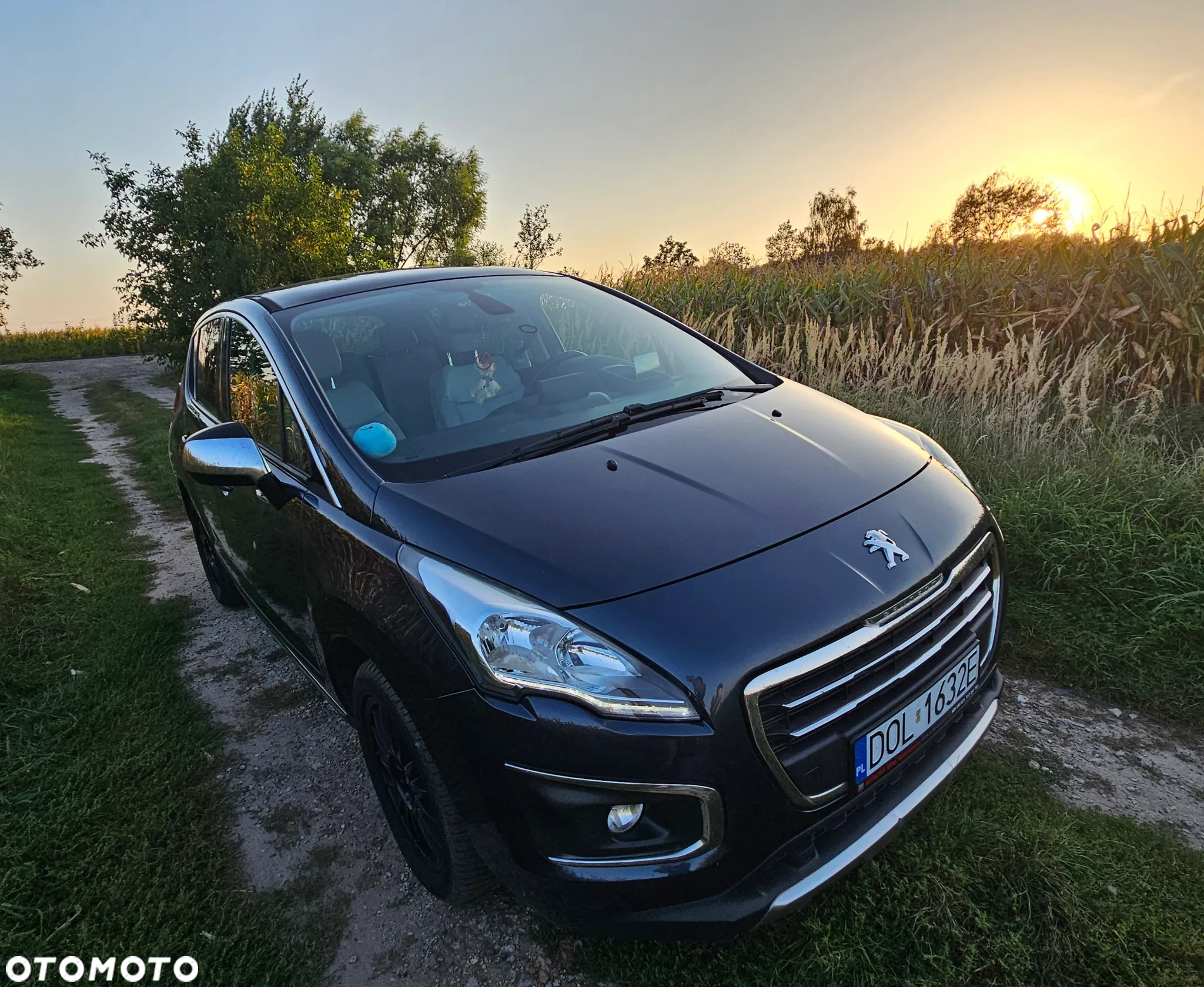 Peugeot 3008 - 16