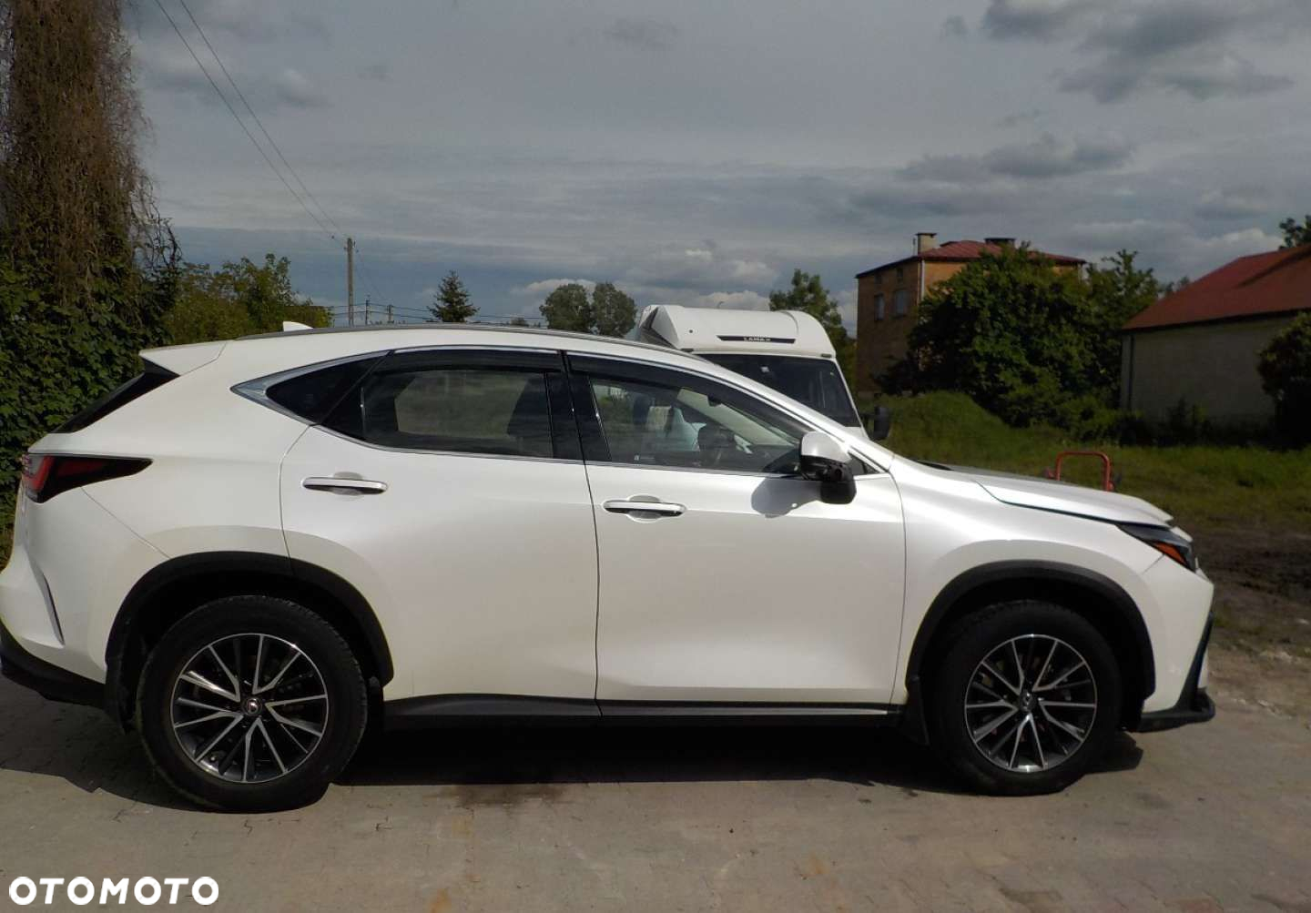 Lexus NX - 19