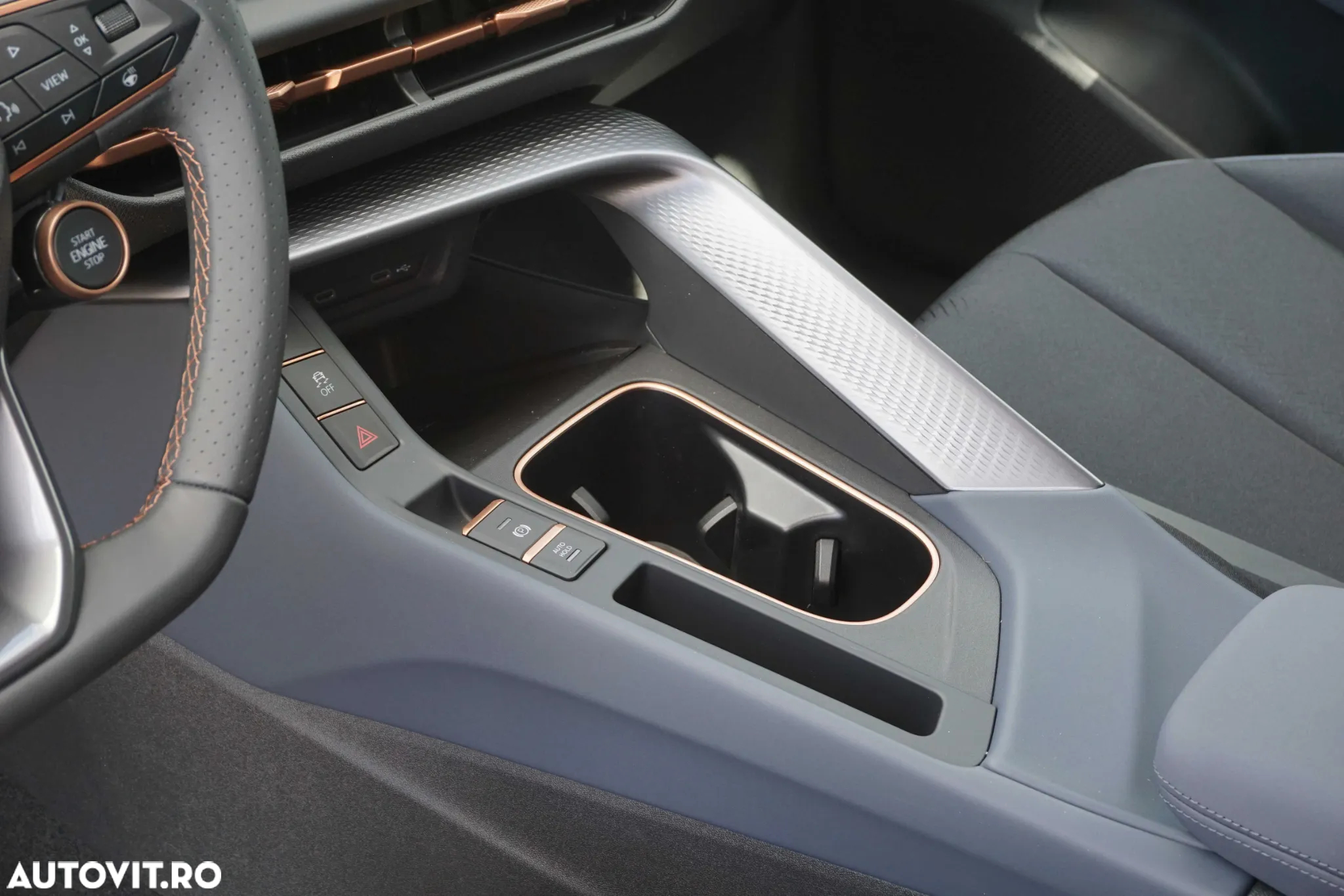 Cupra Terramar - 15