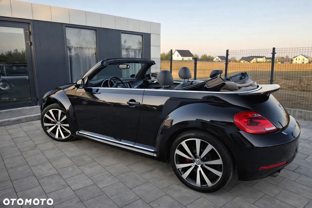 Volkswagen Beetle - 6