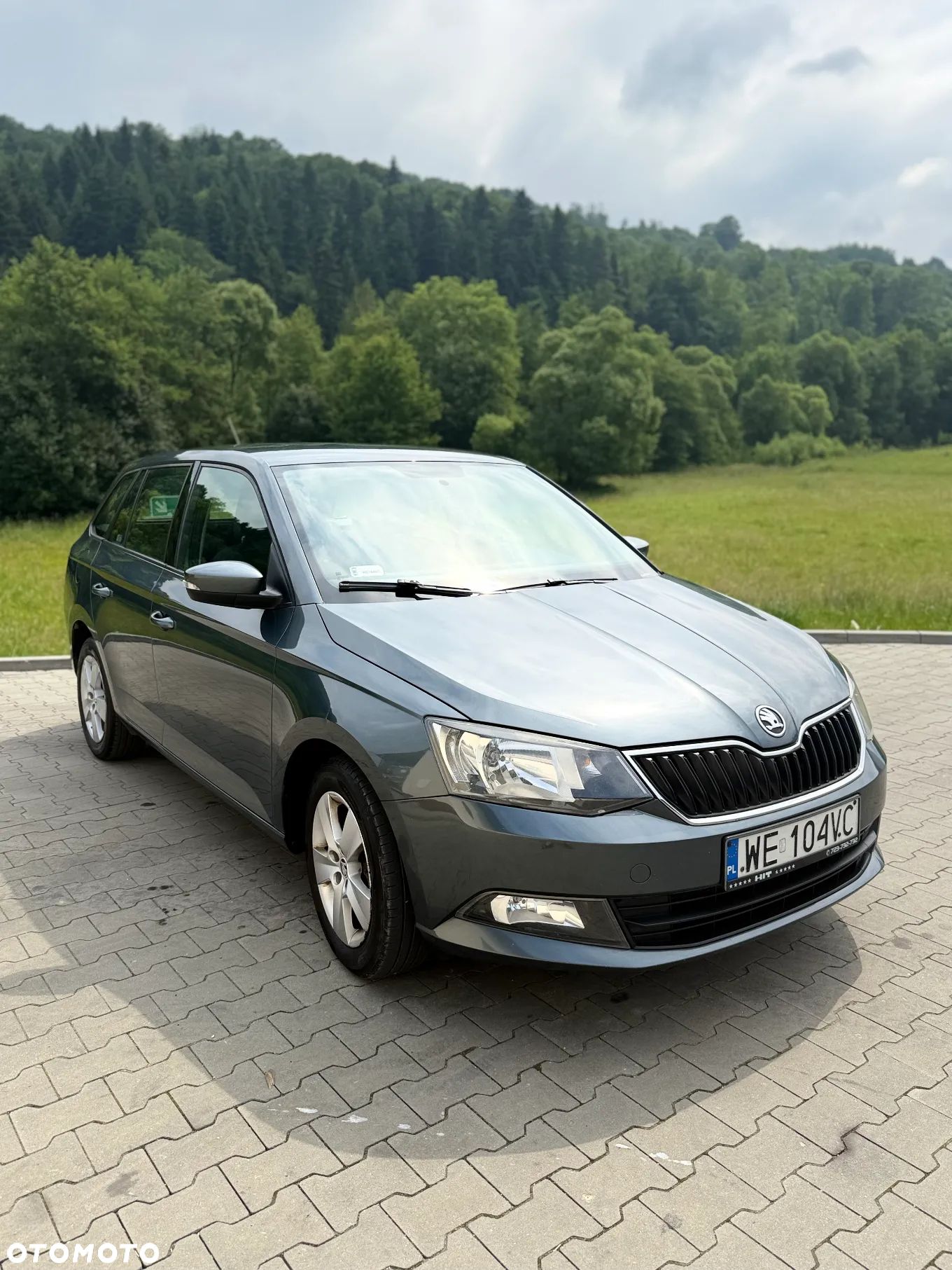 Skoda Fabia - 1