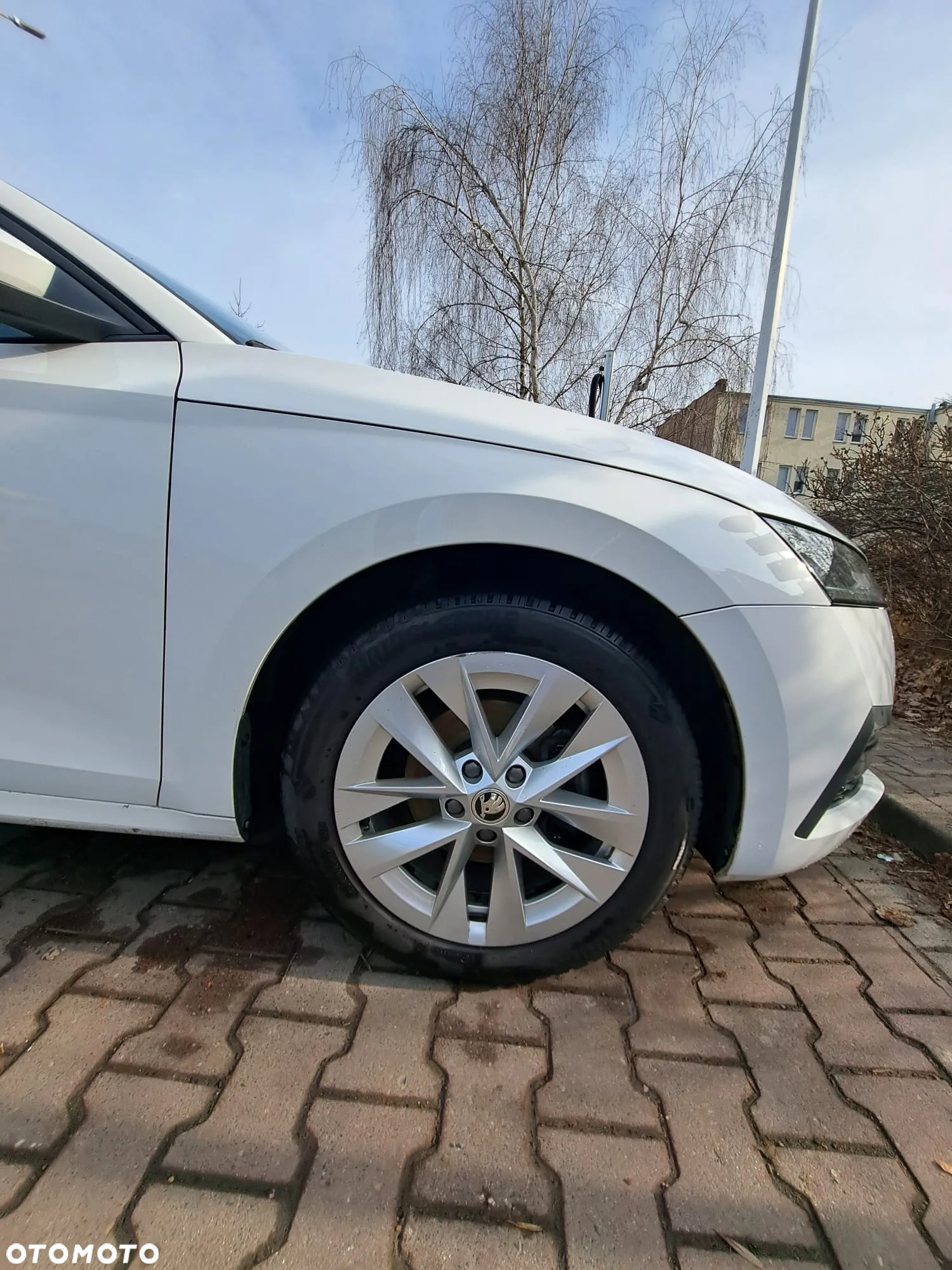 Skoda Octavia - 4