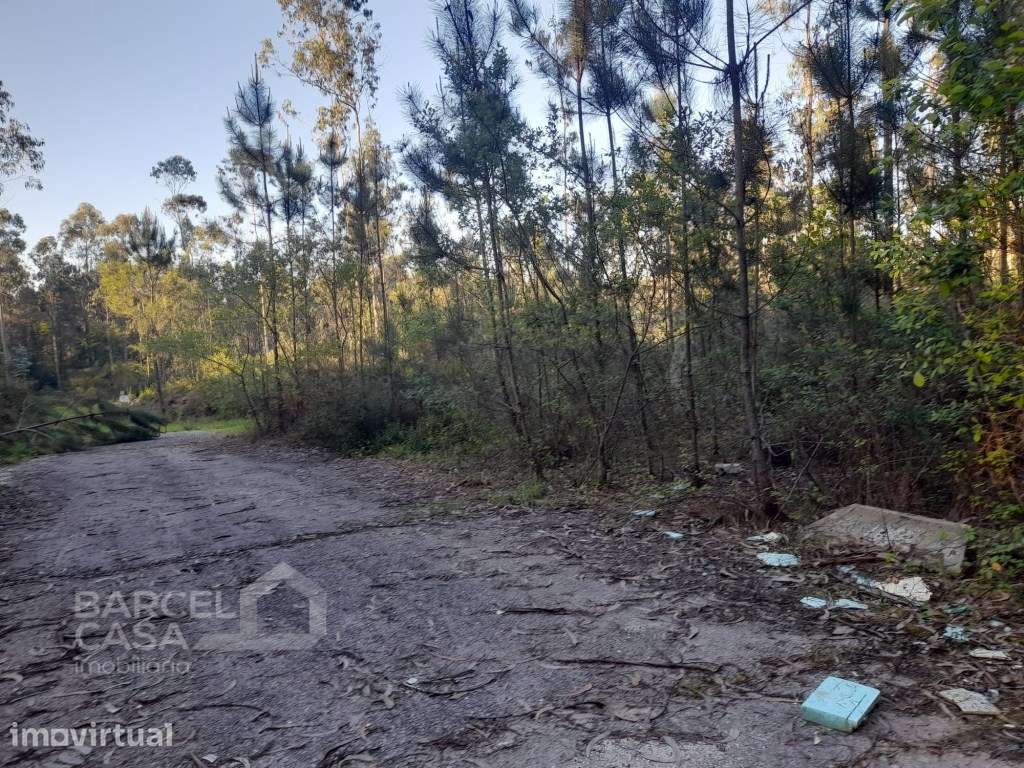 Terreno industrial em Vila Chã - Esposende - Grande imagem: 5/9