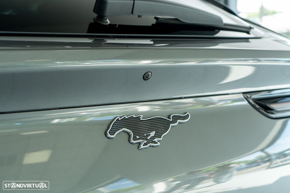 Ford Mustang Mach-E Standard - 21