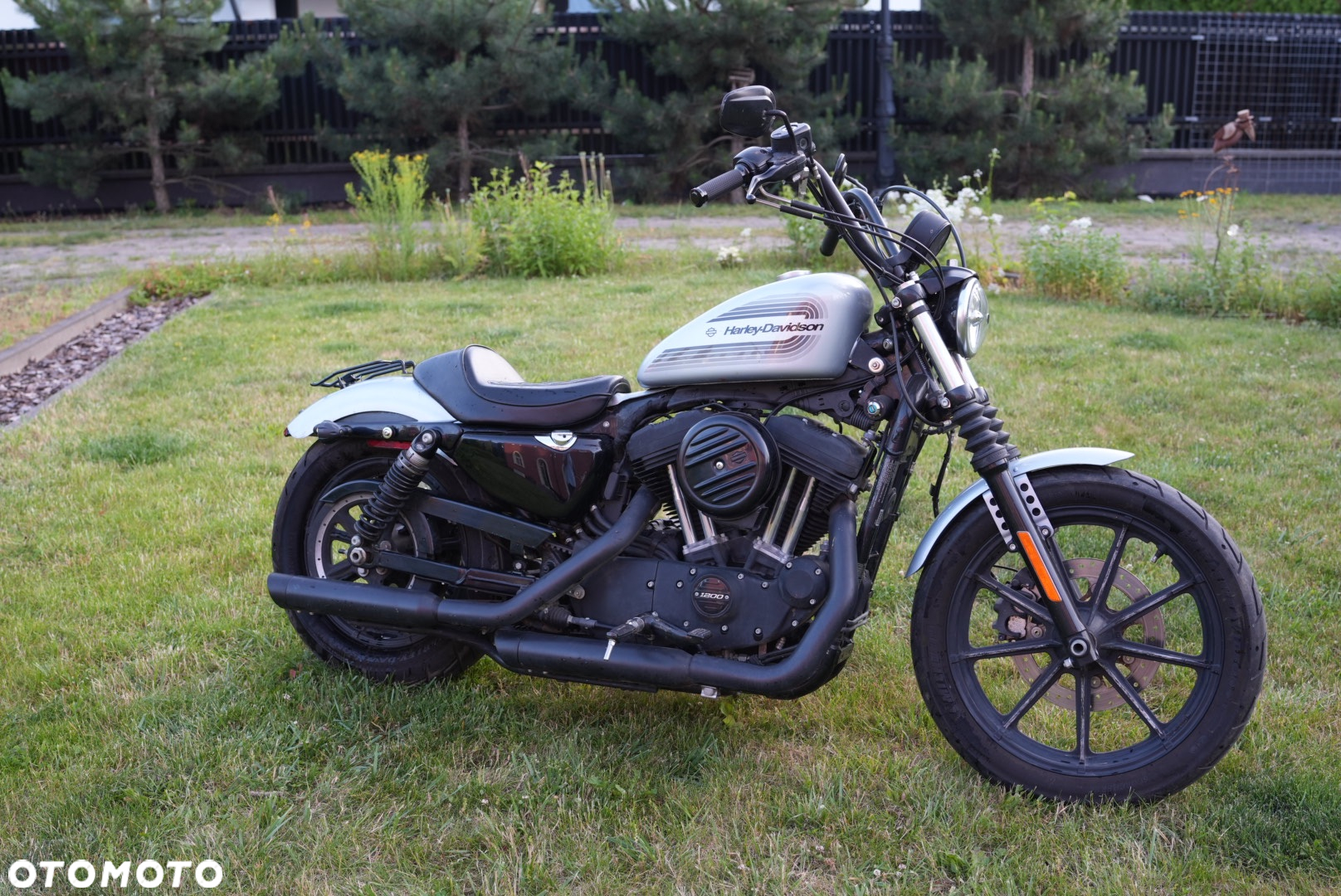 Harley-Davidson Sportster Iron 1200 - 2