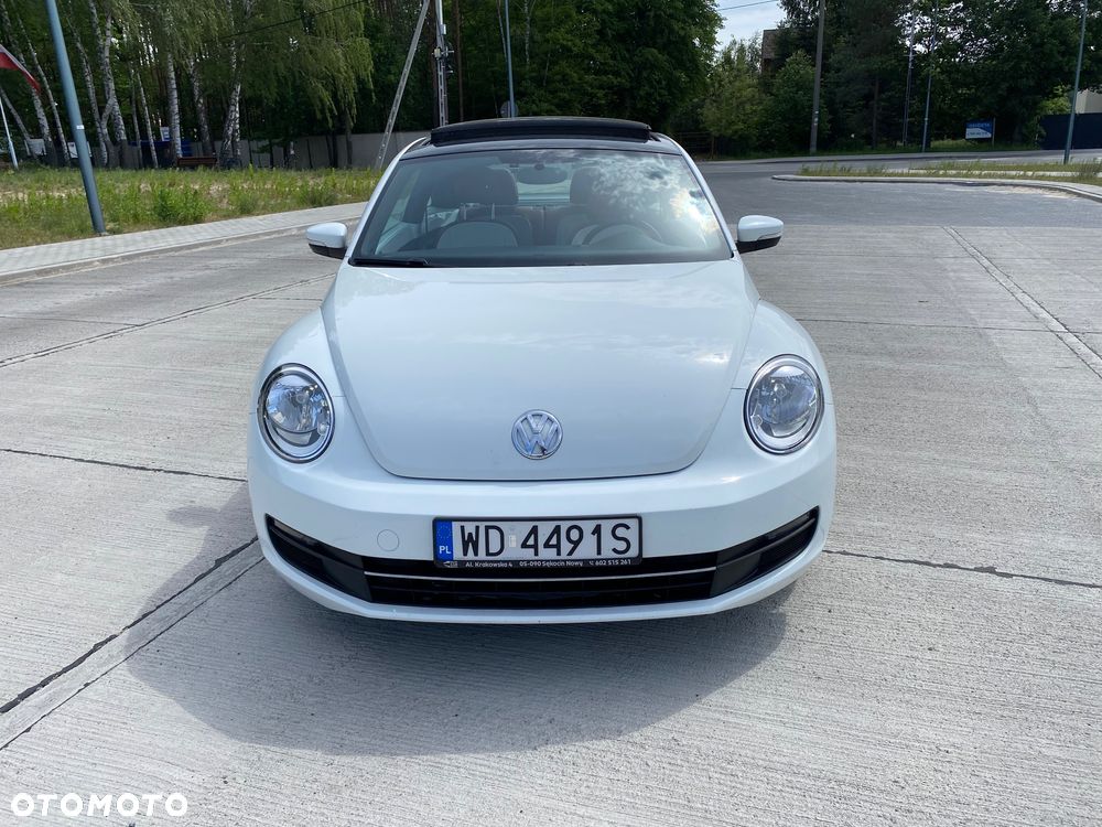 Volkswagen Beetle - 4