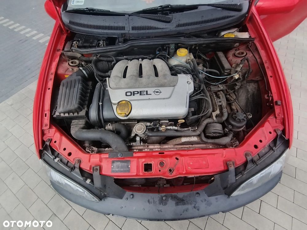 Opel Tigra - 10
