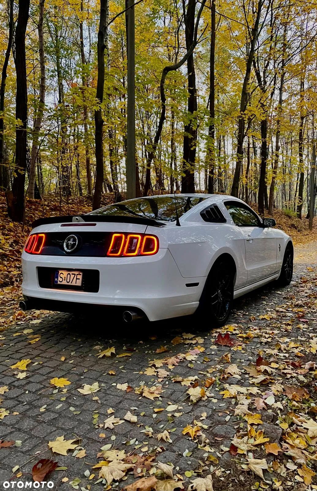 Ford Mustang 3.7 V6 Premium - 1