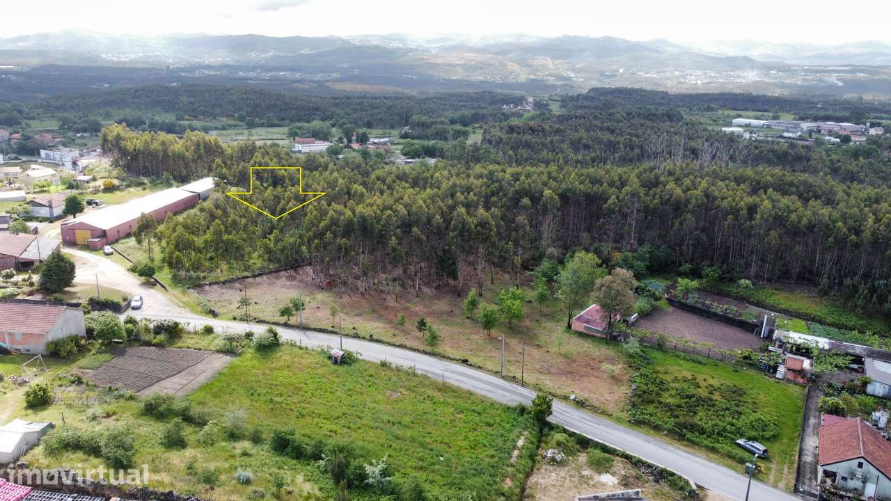 Terreno p/ construção - Oliveira de Frades - Grande imagem: 3/6