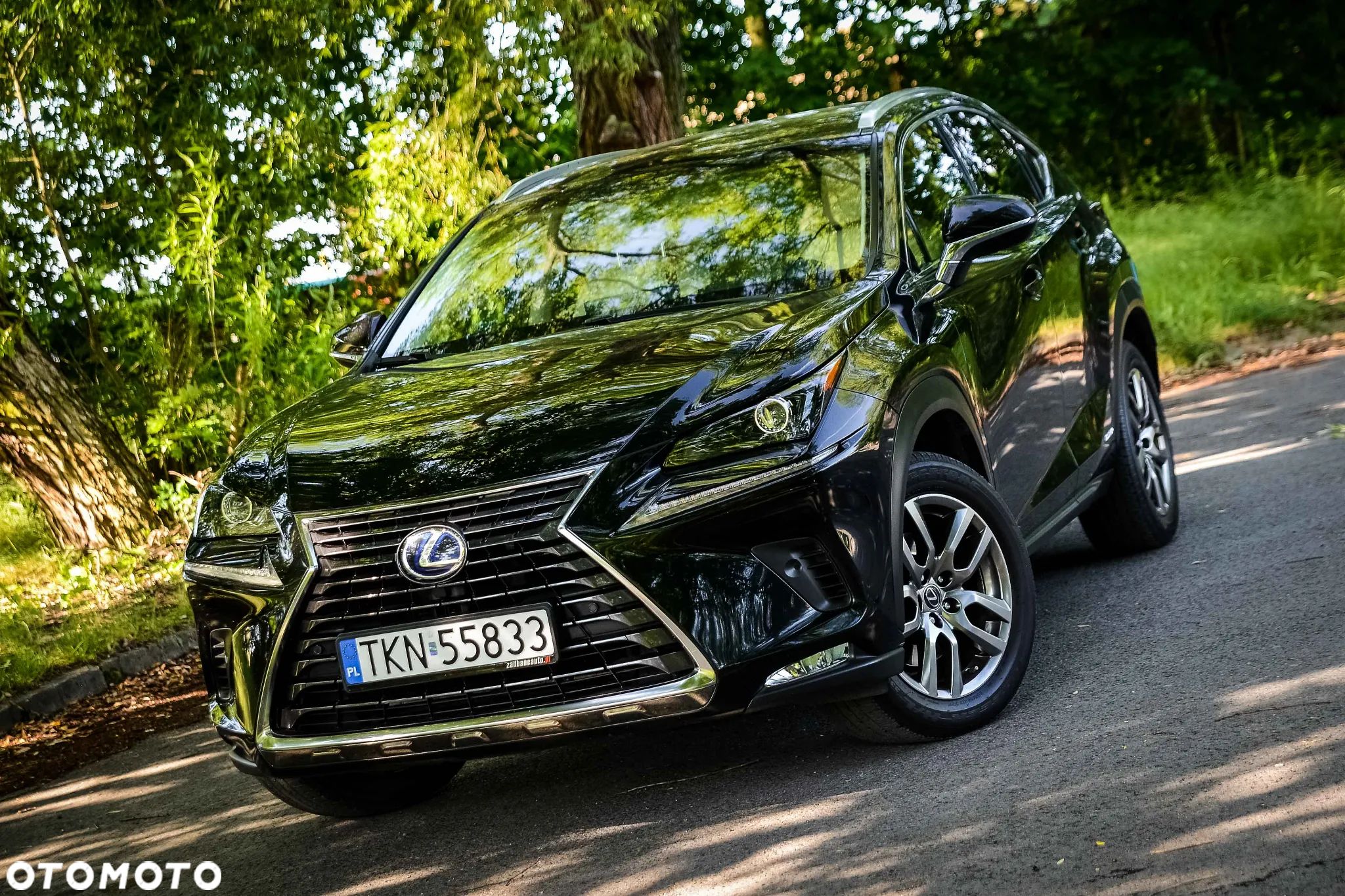Lexus NX 300h Prestige AWD - 1