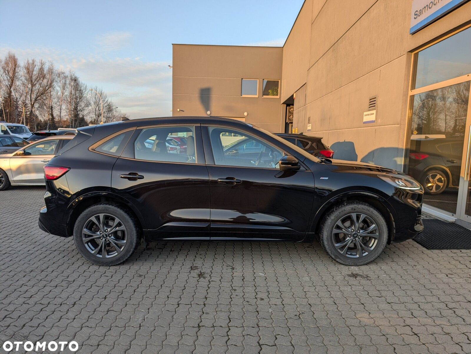 Ford Kuga 2.0 EcoBlue AWD ST-Line - 7