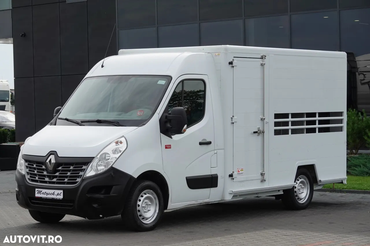 Renault MASTER / PENTRU ZEPTEL / PENTRU TRANSPORT ANIMALE / 2016 / IMPORTAT - 3