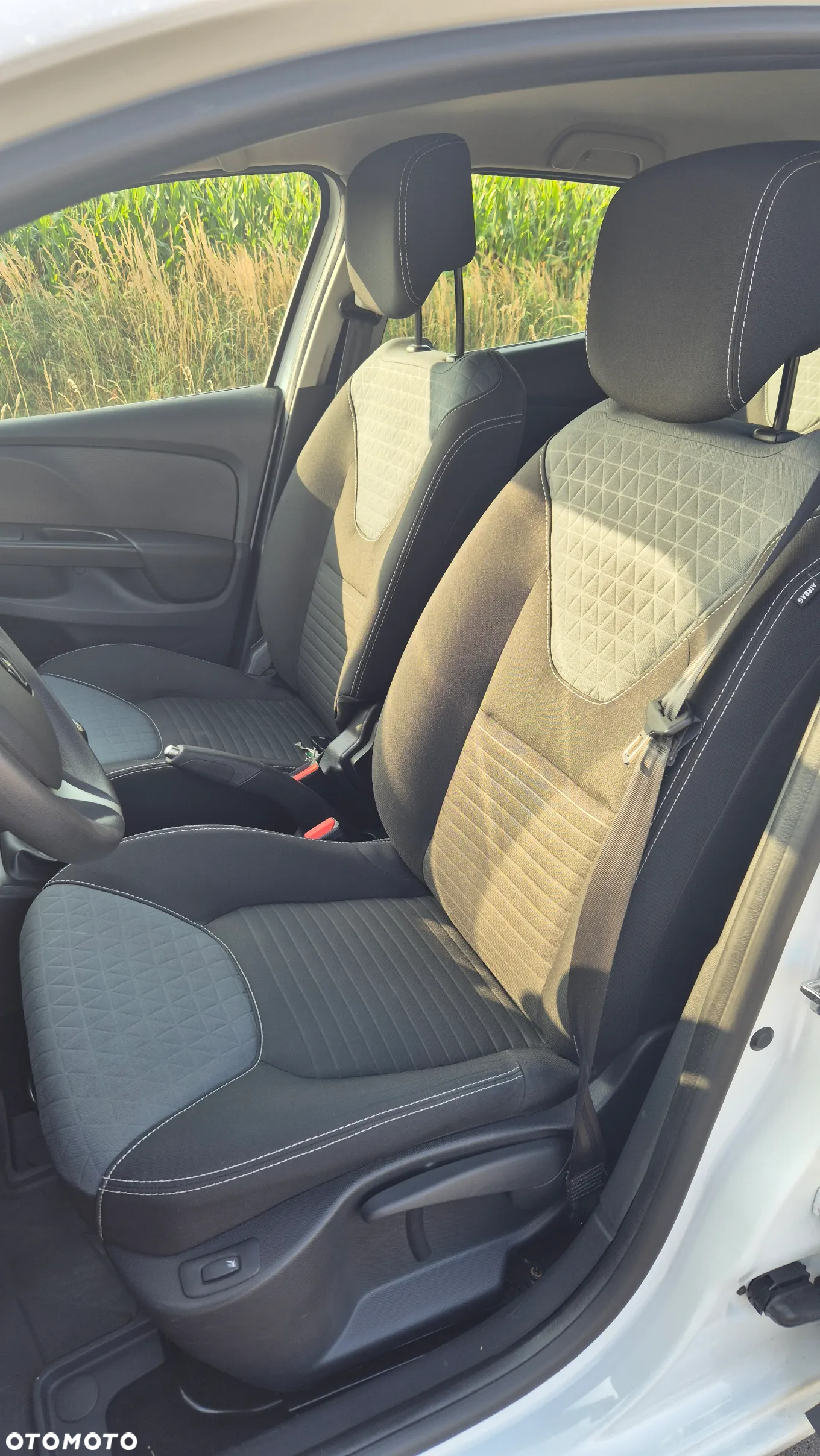 Renault Clio - 15