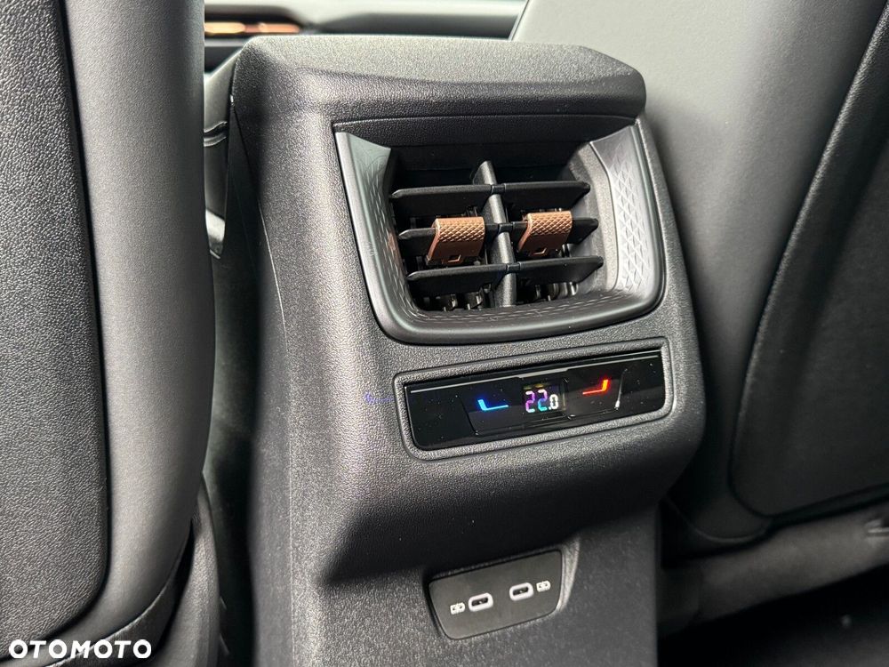 Cupra Terramar 2.0 TSI 4Drive DSG - 39