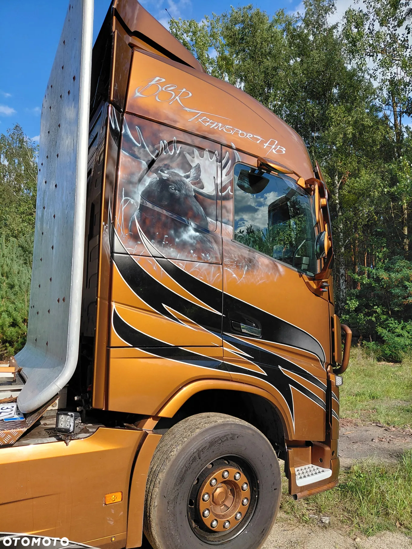 Volvo FH750 - 5