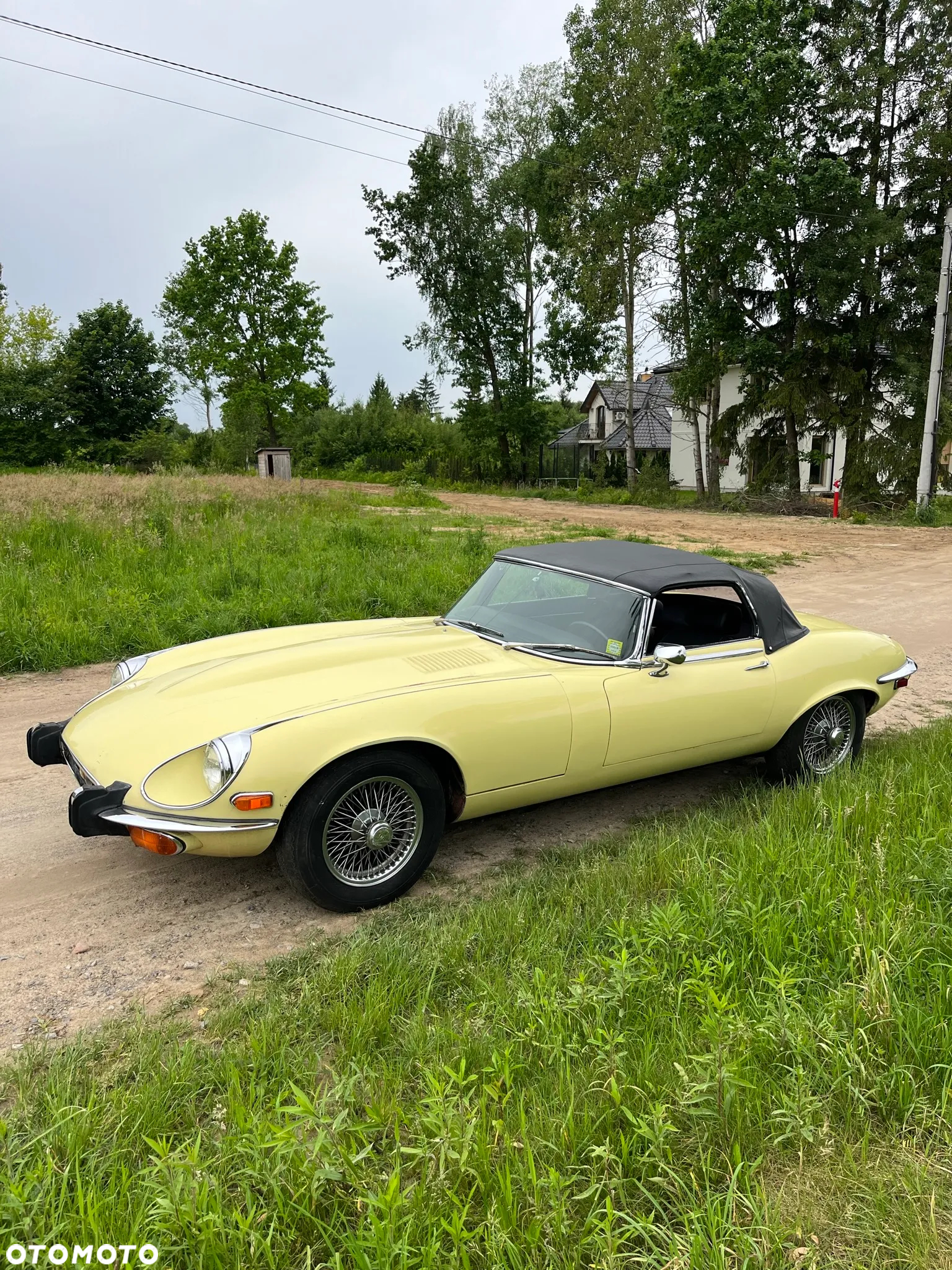 Jaguar E-Type - 31