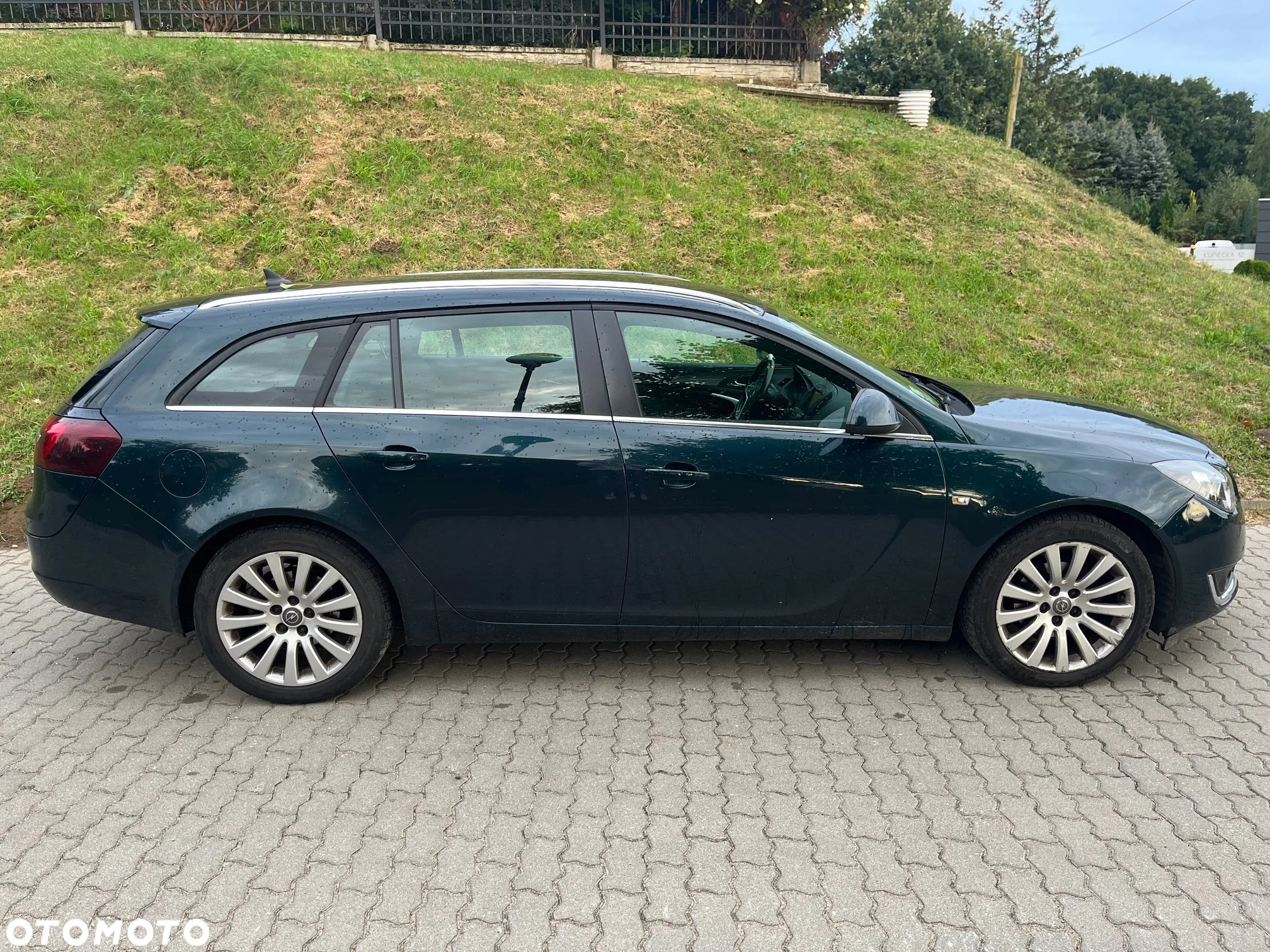 Opel Insignia 2.0 CDTI EcoFLEX S&S - 2