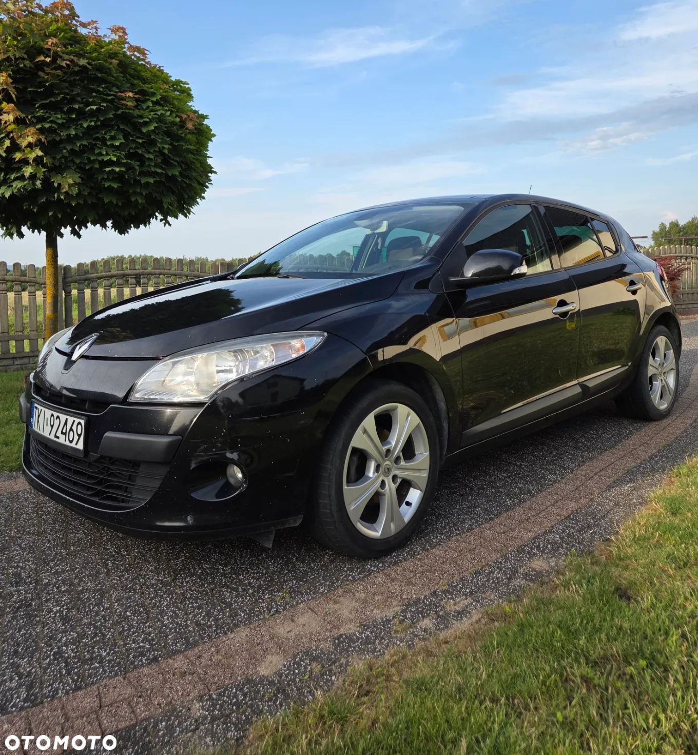 Renault Megane - 1