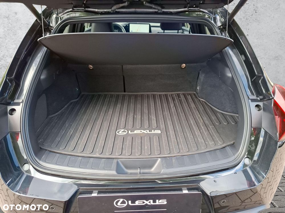 Lexus UX 250h GPF F Sport Design 2WD - 21