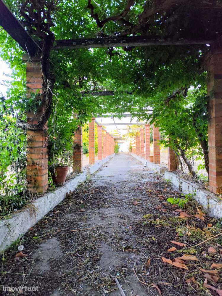 Quintinha com casas e Comércio independente - Santarém - Grande imagem: 3/46