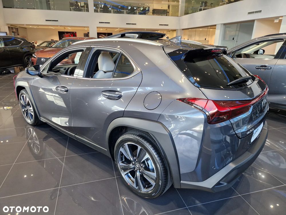 Lexus UX 300h Prestige - 6