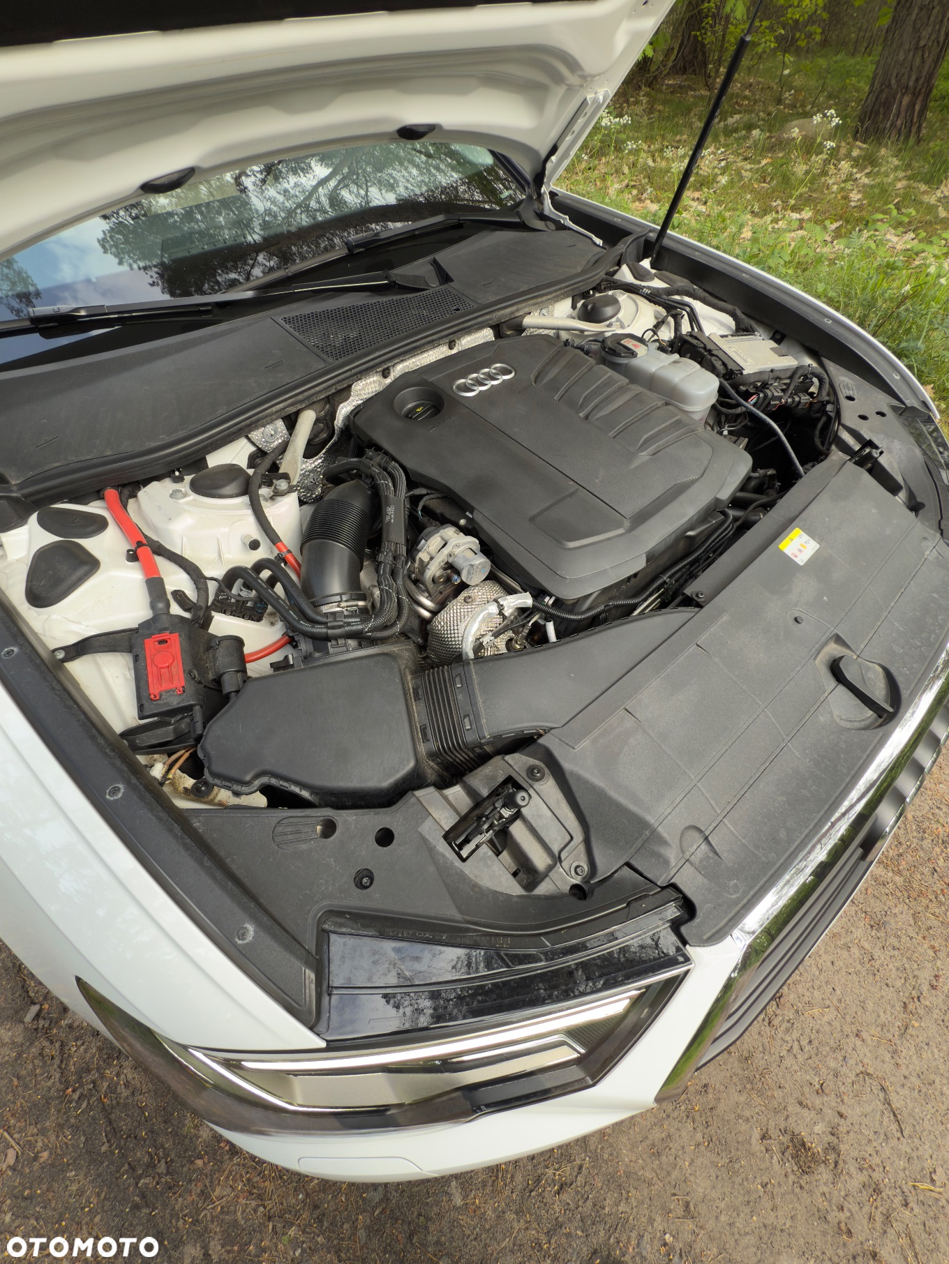 Audi A6 - 26