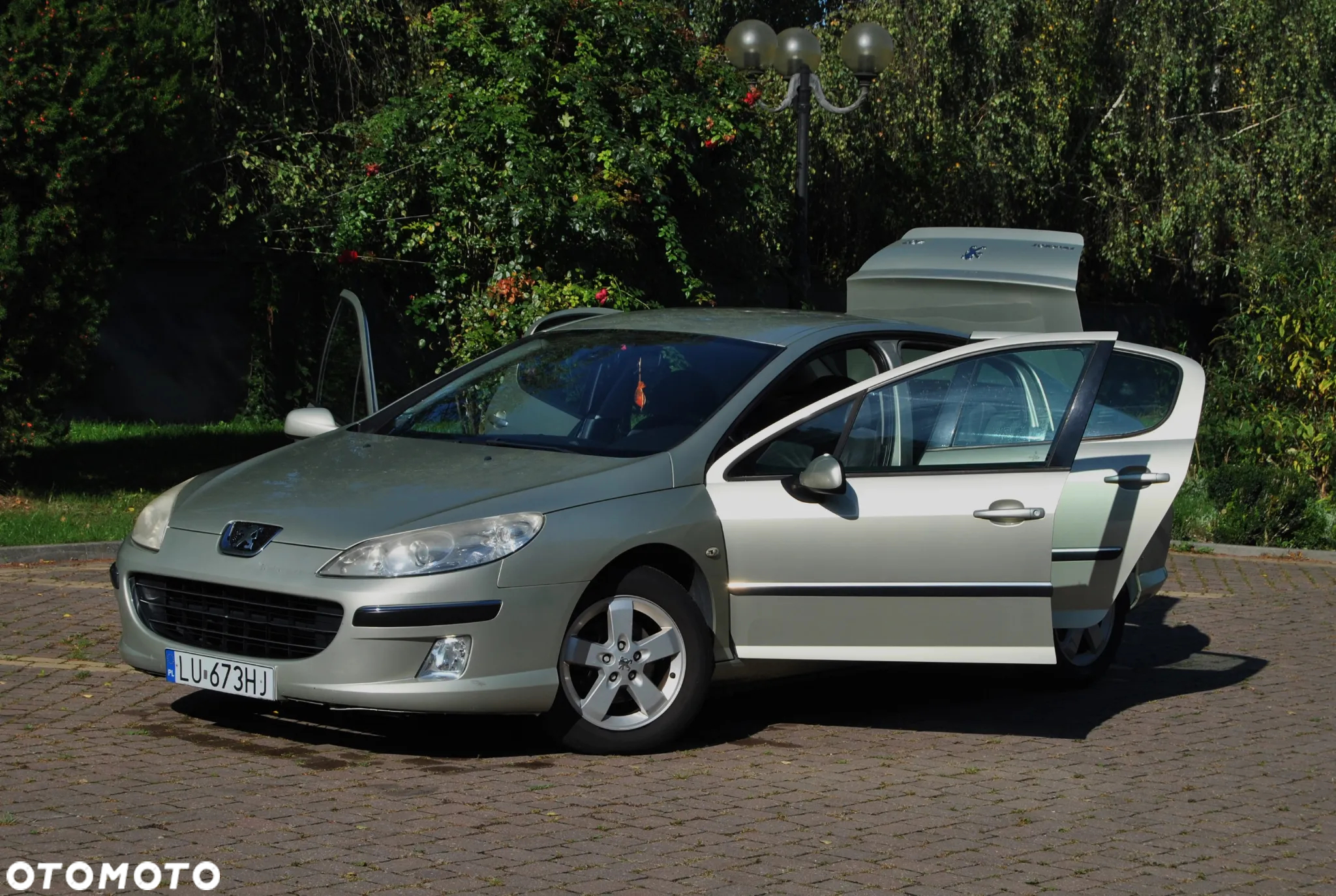 Peugeot 407 1.8 Presence - 19