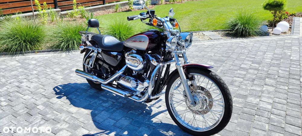 Harley-Davidson Sportster Custom 1200C - 2