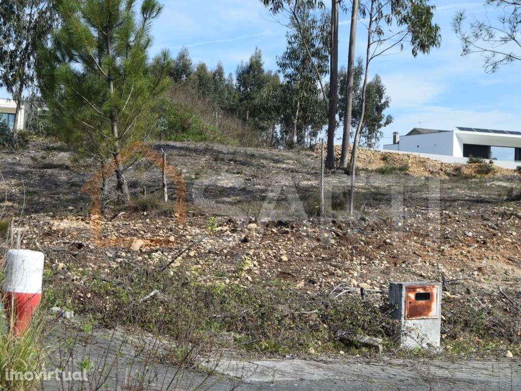 Excelente Lote para Construção de Moradia em Albergaria dos Doze - Grande imagem: 4/23