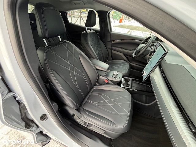 Ford Mustang Mach-E - 15