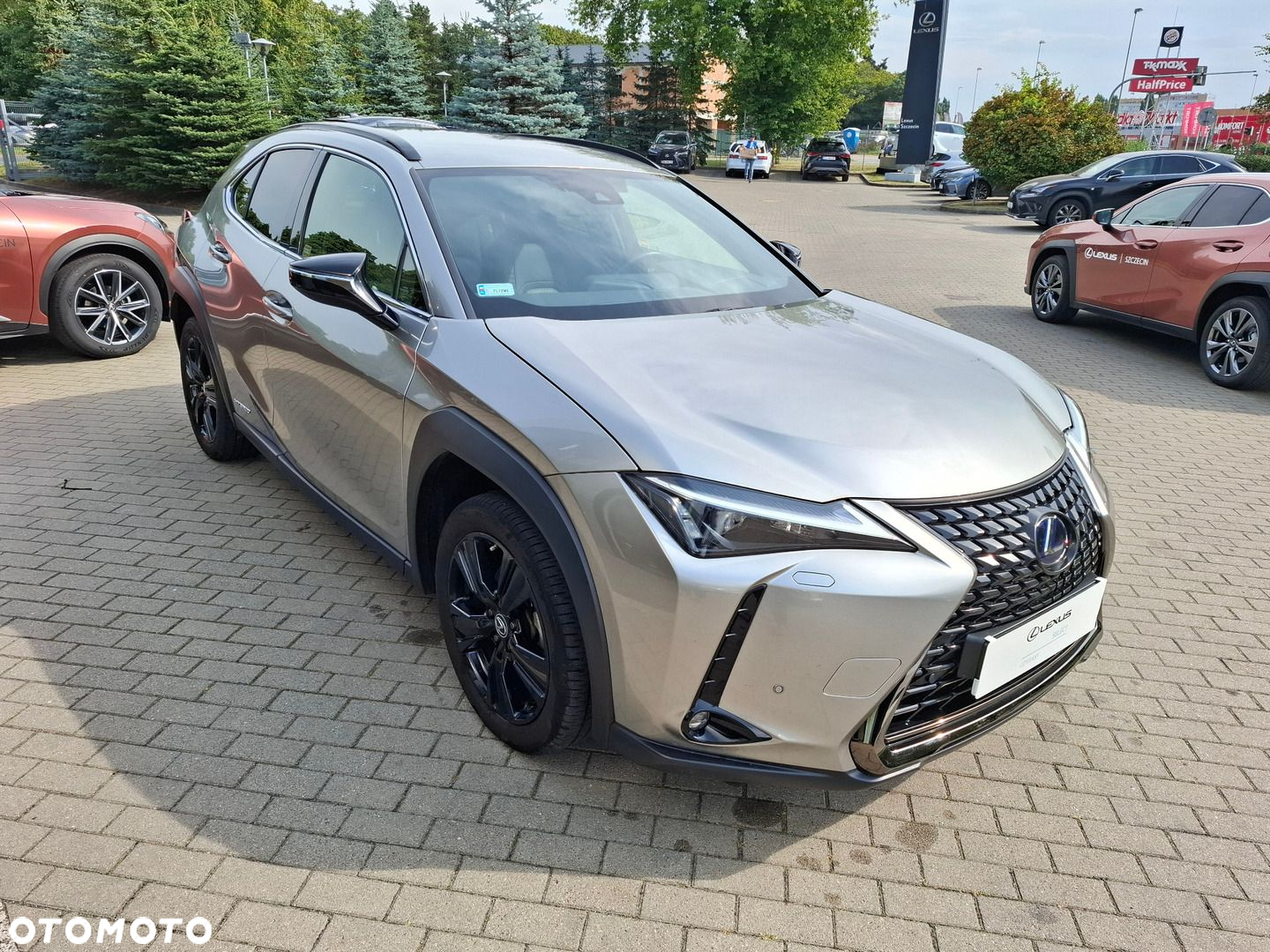 Lexus UX - 7