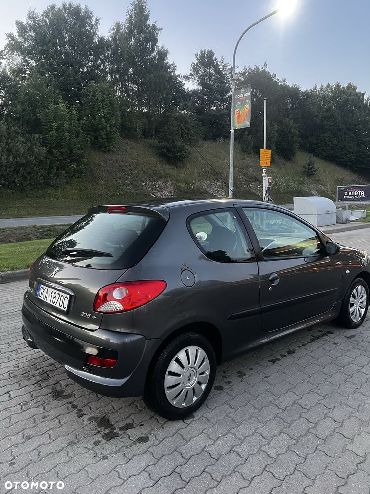 Peugeot 206 plus - 3