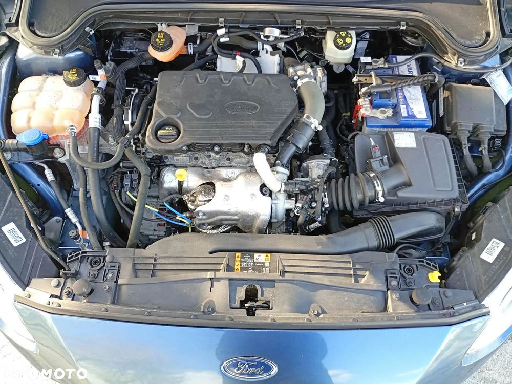 Ford Focus - 19
