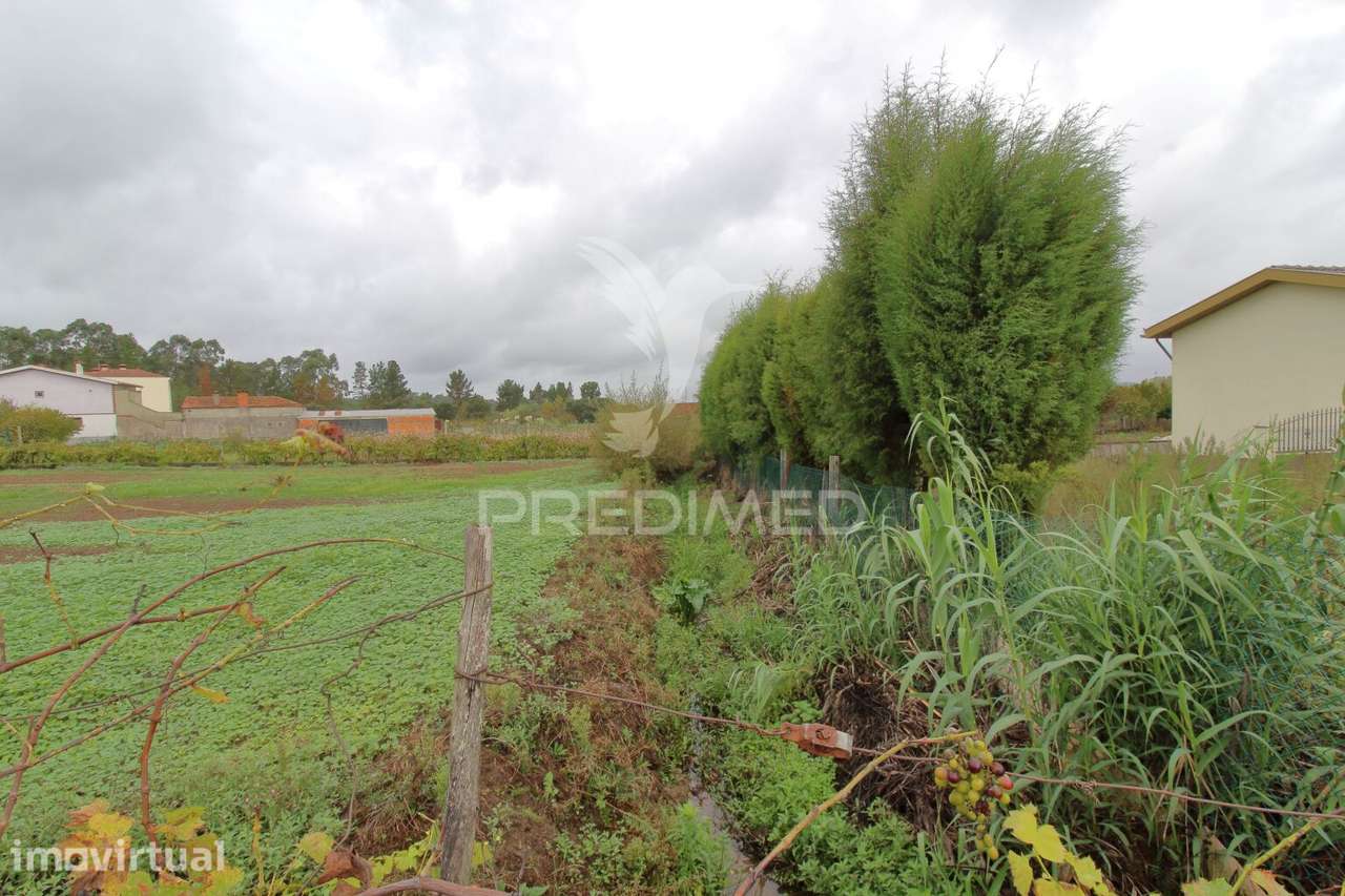 Terreno com 36 metros de frente para construção de moradia e Oiã - Grande imagem: 3/10