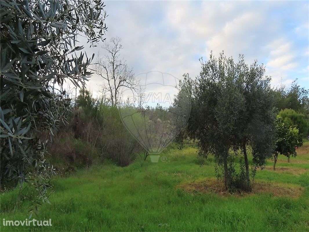 Quinta  para venda - Grande imagem: 4/50