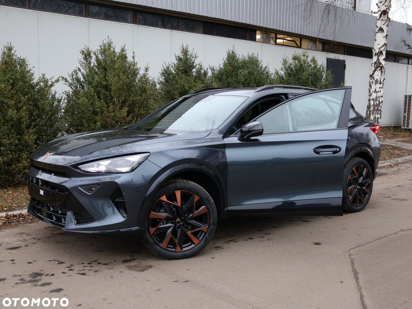 Cupra Formentor 1.5 eTSI mHEV DSG - 16