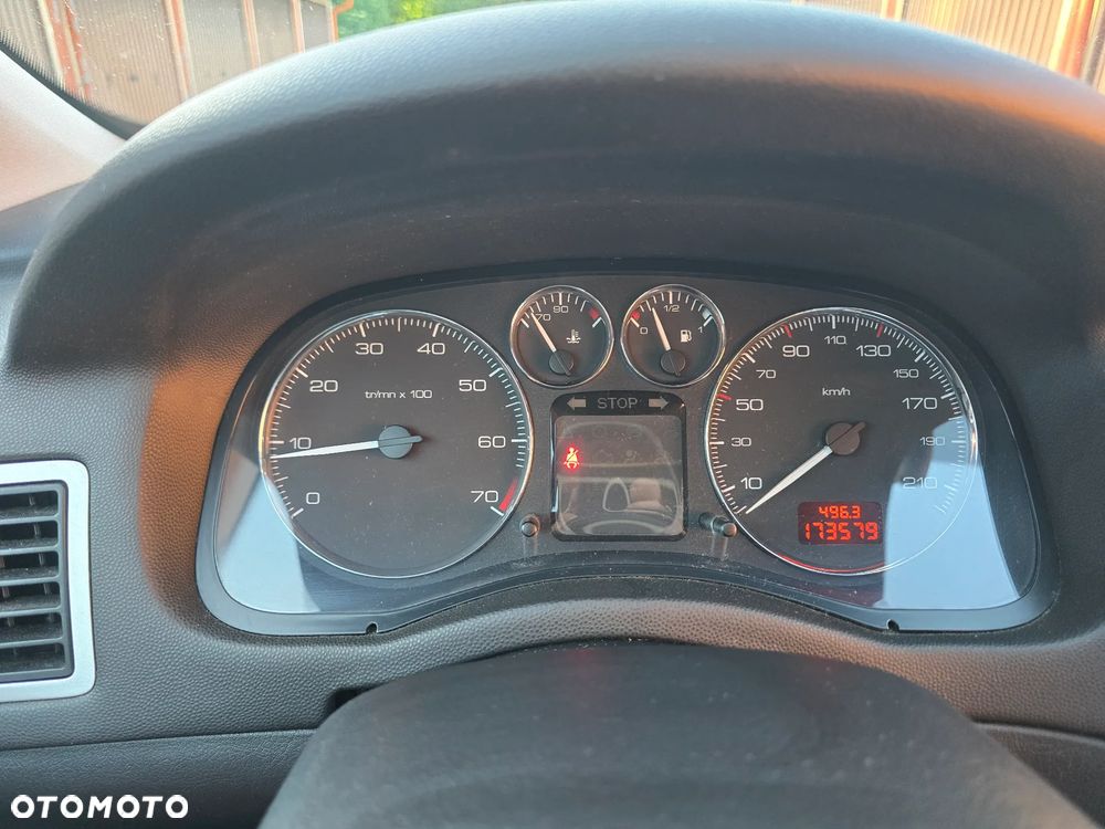 Peugeot 307 1.6 Premium - 11