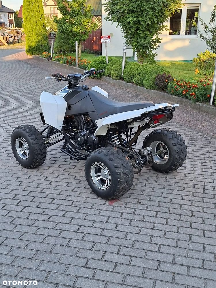 EGL Eglmotor Lyrx - 3