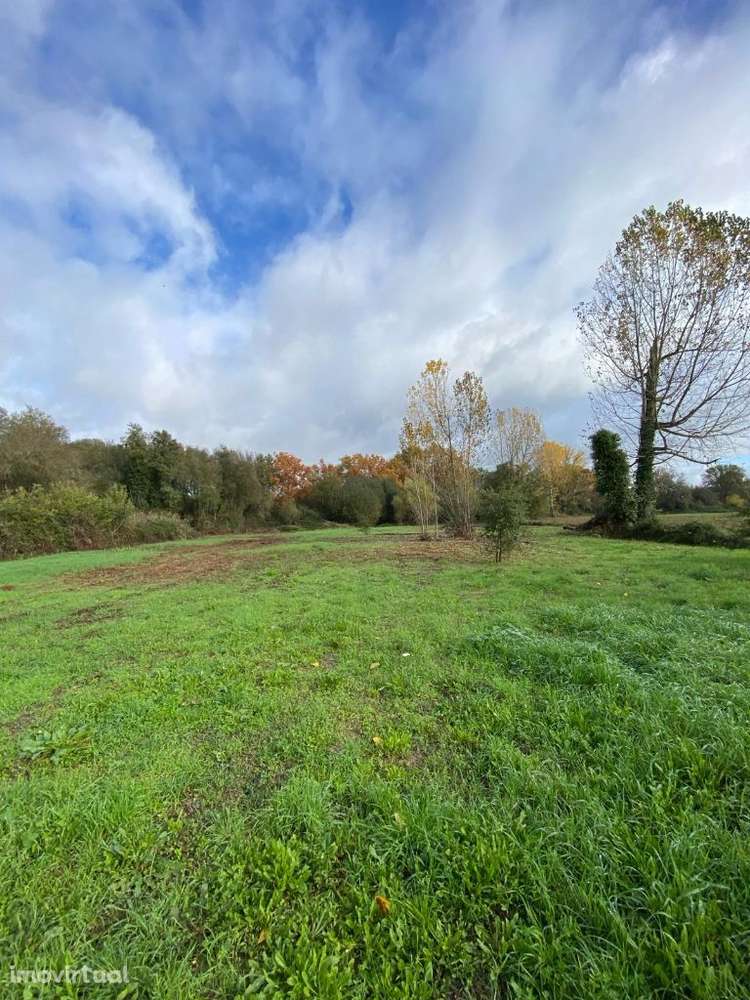 terreno agrícola - Seiça - Grande imagem: 3/3