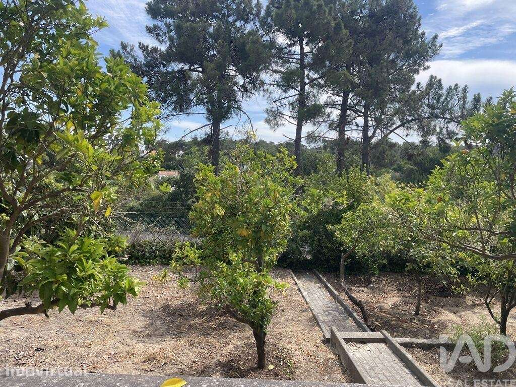 Casa / Villa T7 em Sesimbra (Castelo) de 400,00 m2 - Grande imagem: 2/29