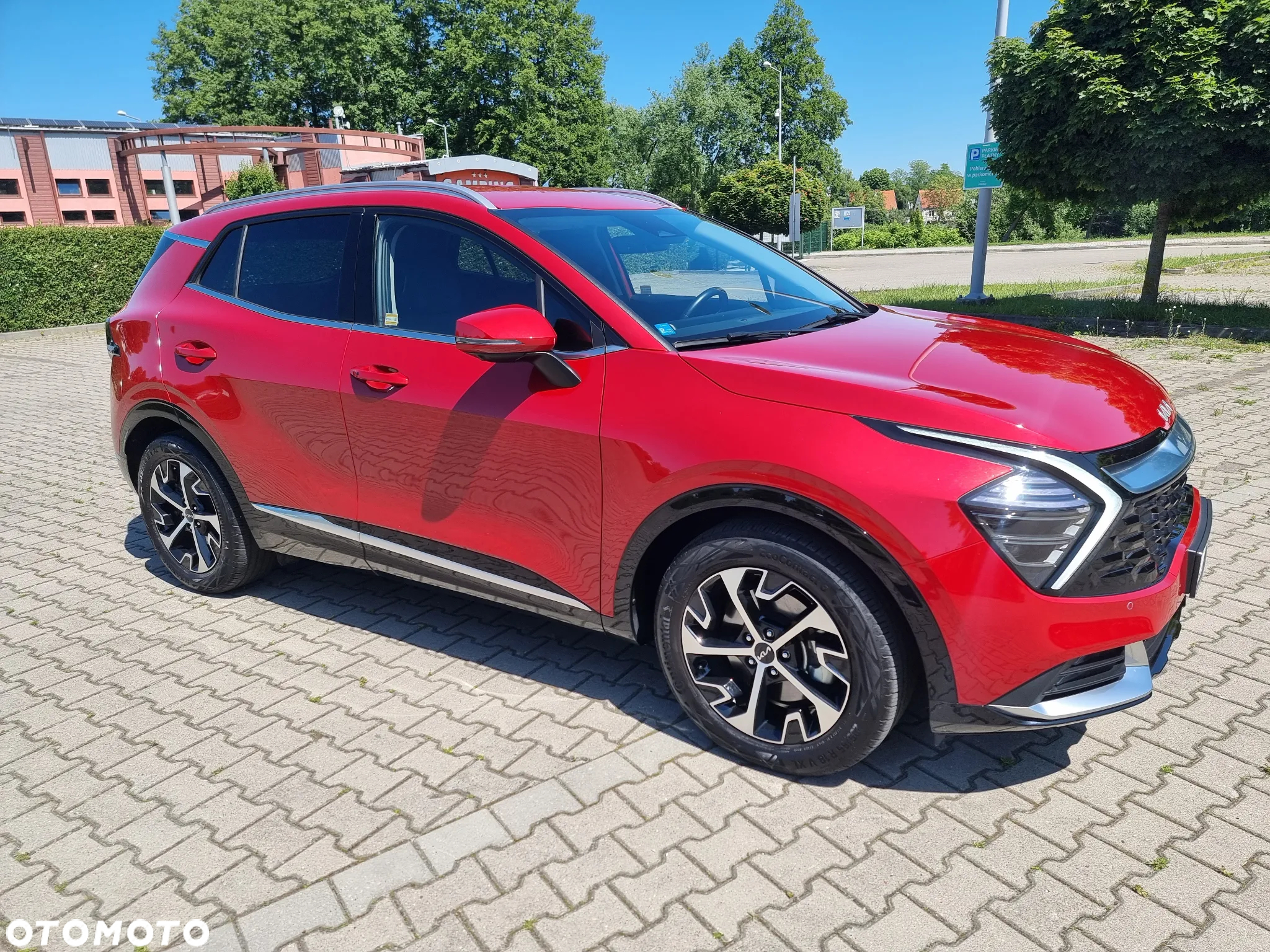 Kia Sportage 1.6 T-GDI MHEV Business Line 2WD DCT - 6