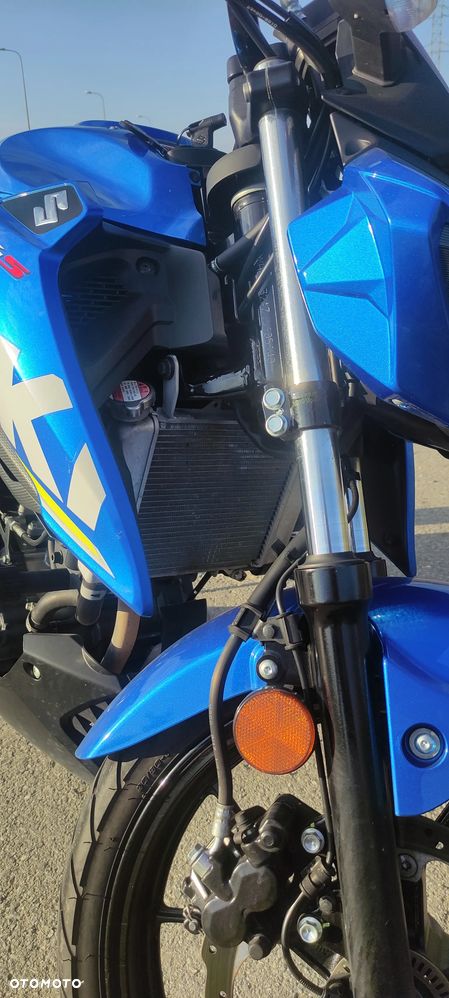 Suzuki GSX - 13