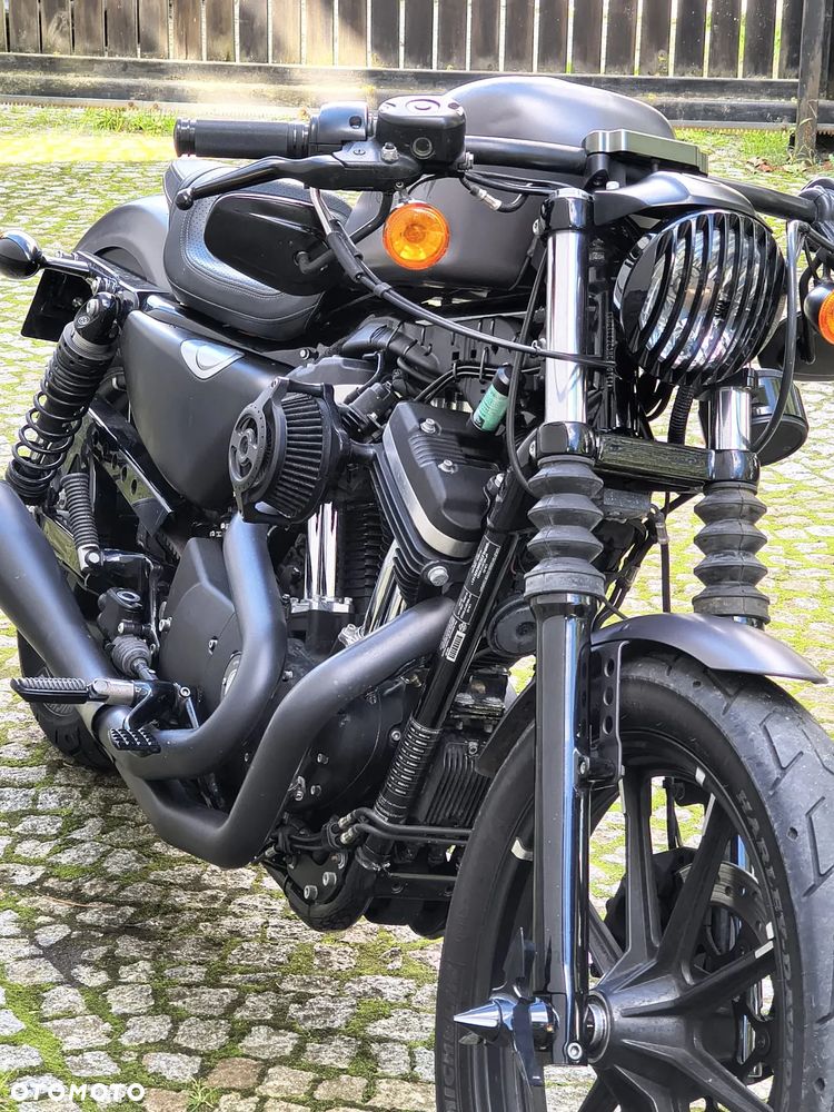 Harley-Davidson Sportster Custom 883C - 32