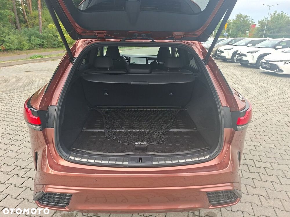 Lexus RX - 18