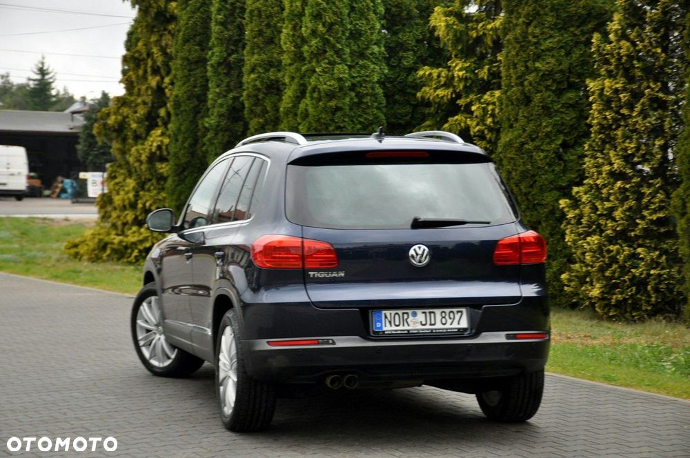 Volkswagen Tiguan - 15